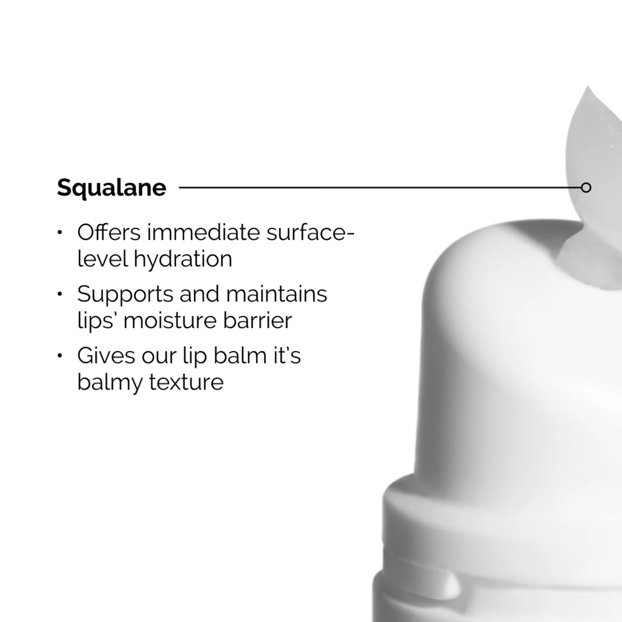 بالم لب اسکوالان و آمینو اسید اوردینری | The Ordinary Squalane and Amino Acids Lip Balm اورجینال را میتوانید از بهارشاپ بیوتی (BaharShopBeauty.ir) تهیه کنید.
