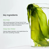 ماسک جلبک دریایی بایودنس