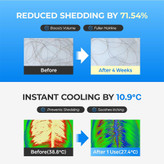 Seapuri scalpy hair serum