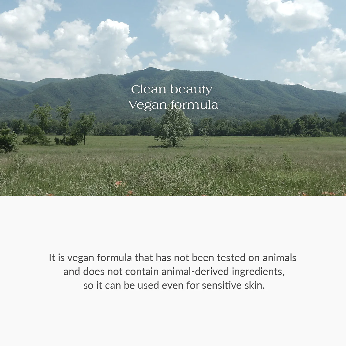 فوم شستشو صورت آمینو اسید دکتر التیا